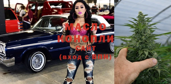 молекула духа Новодвинск