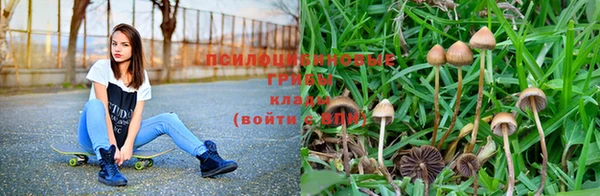 jwh Новозыбков