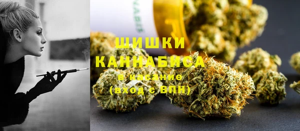 молекула духа Новодвинск