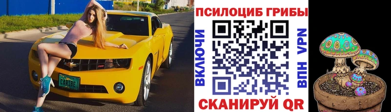 Псилоцибиновые грибы GOLDEN TEACHER  Купить закладки  Чистополь 