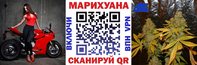 Конопля планчик  Купить закладки  Чистополь 